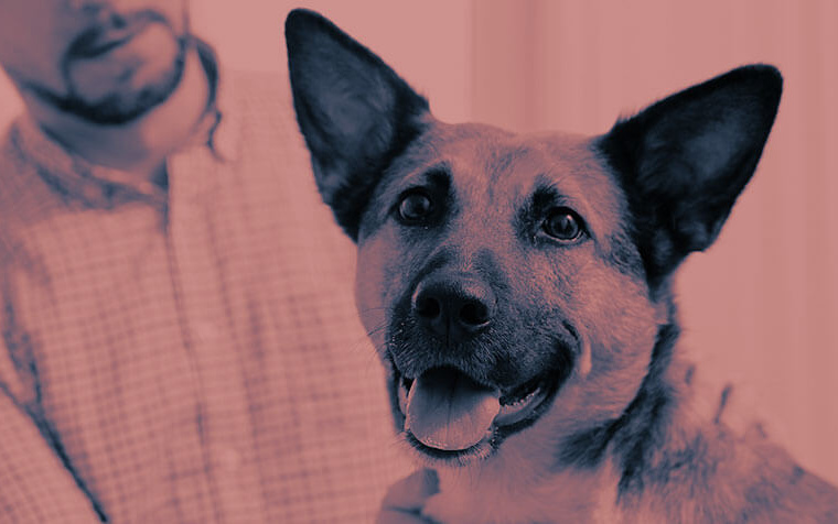 Plano de Saúde Pet – Health for Pet